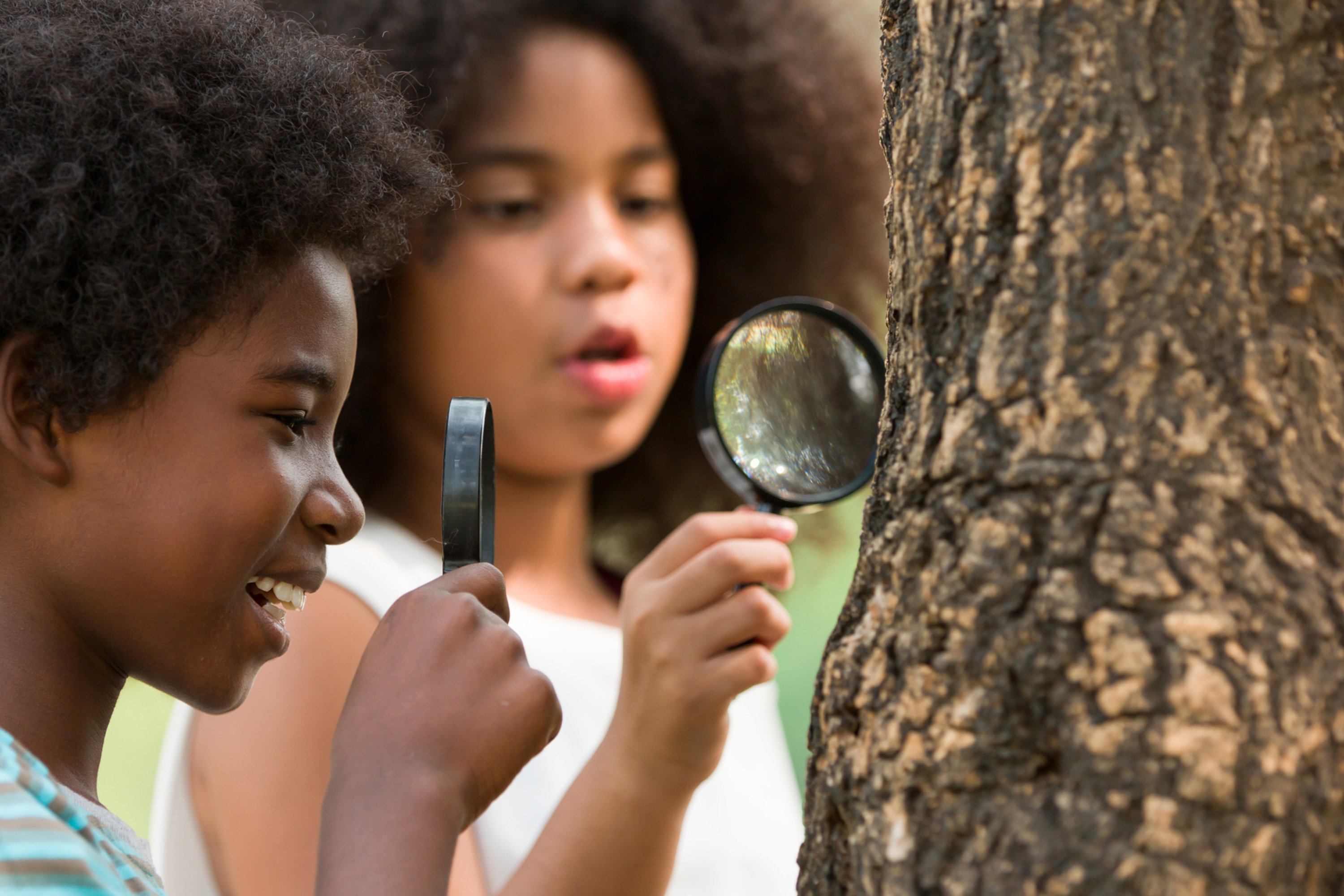 Campers doing science experiments outdoors