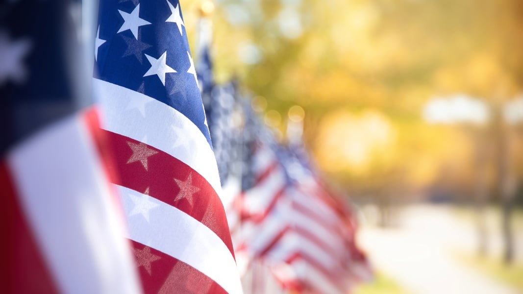 Image representing the Veterans Day holidays celebrated in November