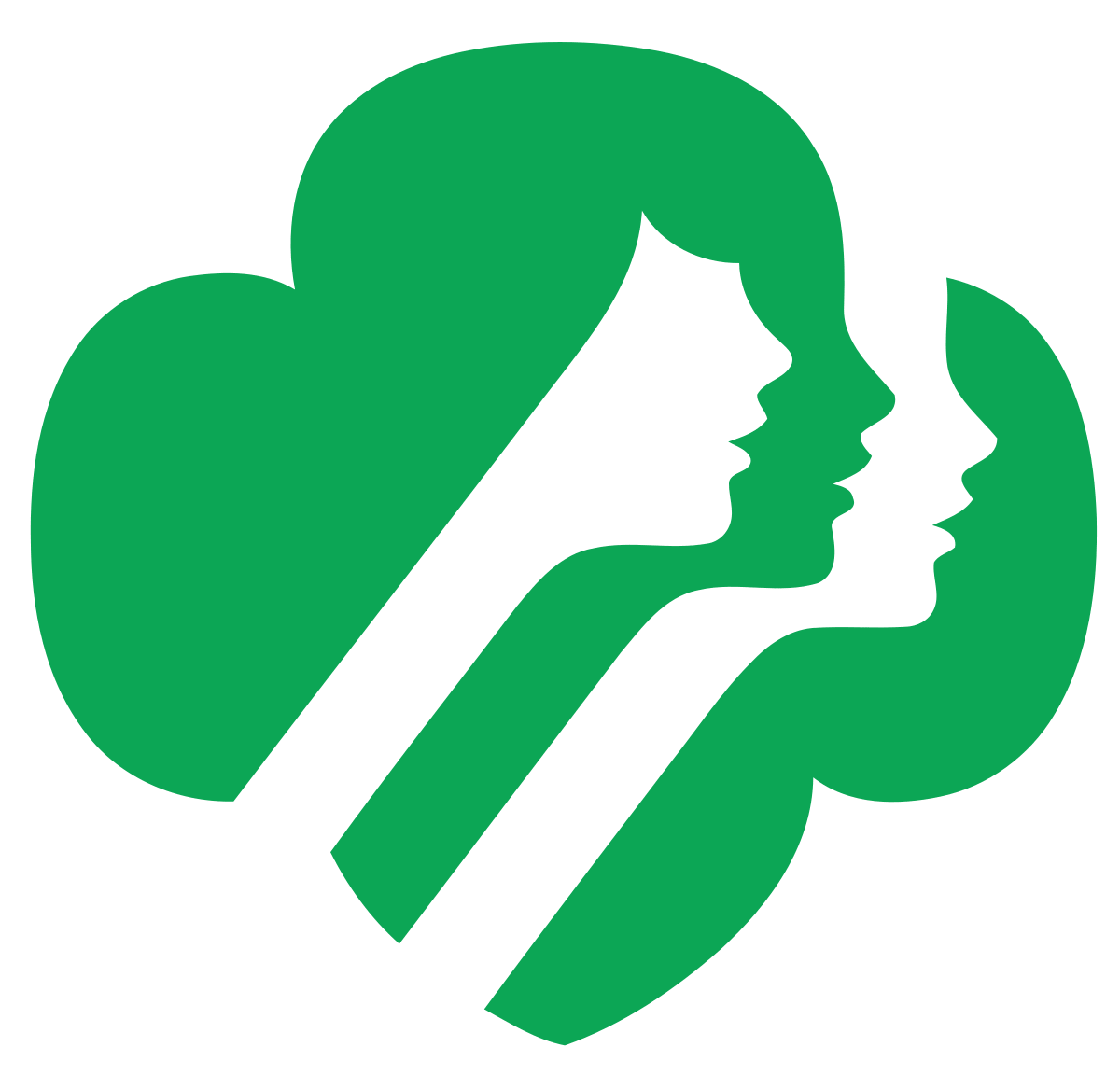 Girl Scouts Of The Usa